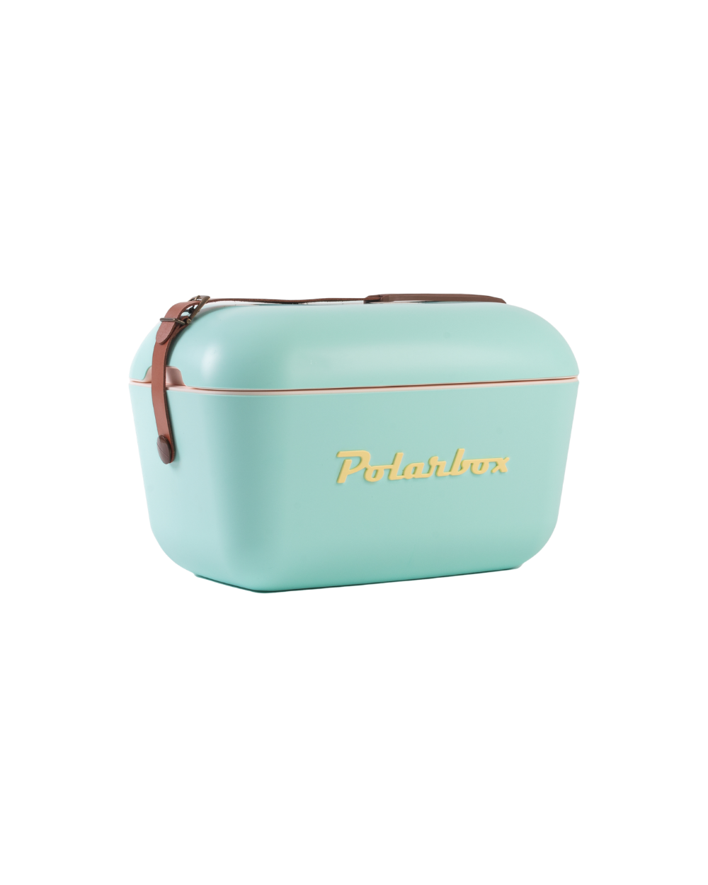 Cyan Classic Cooler | Polarbox