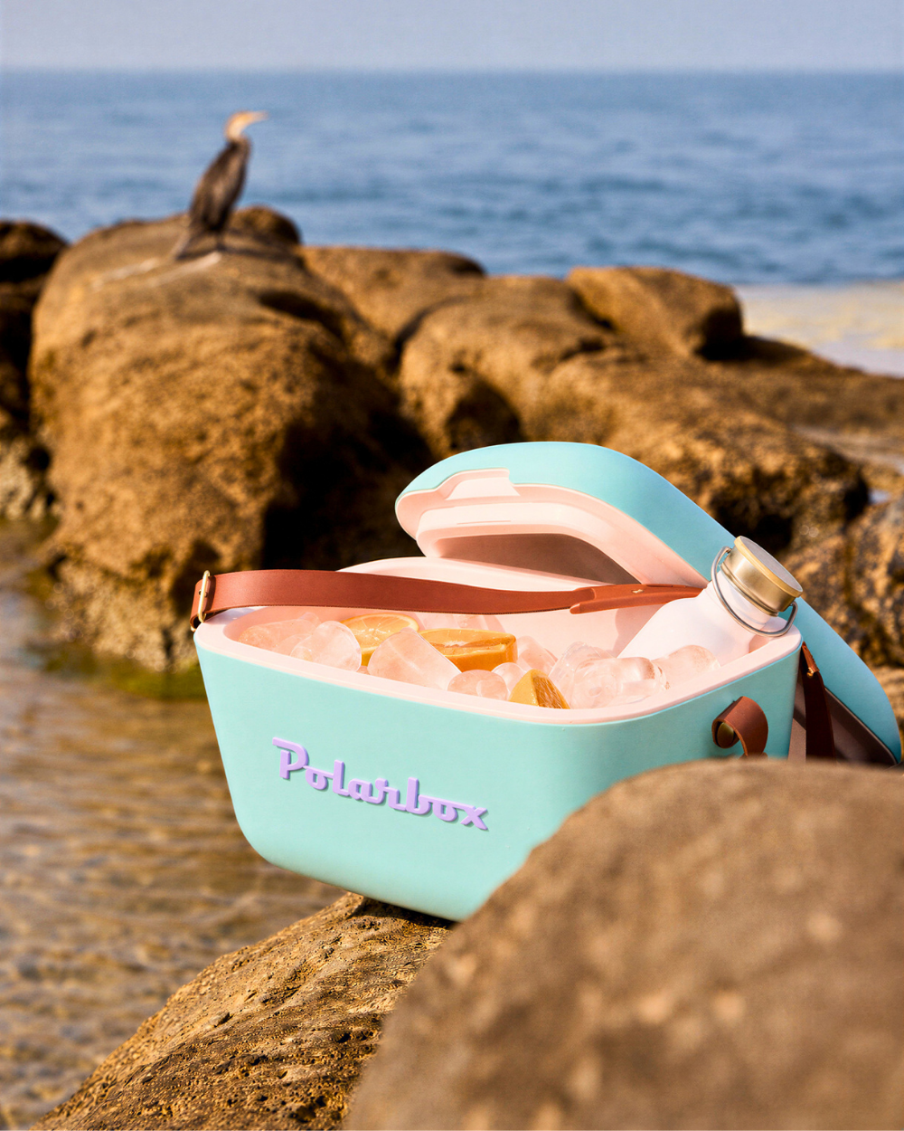Cooler Classic Verde Agua | Polarbox