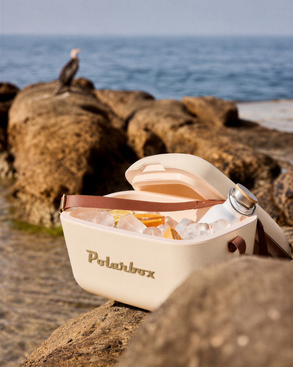 Cream Cooler | Polarbox