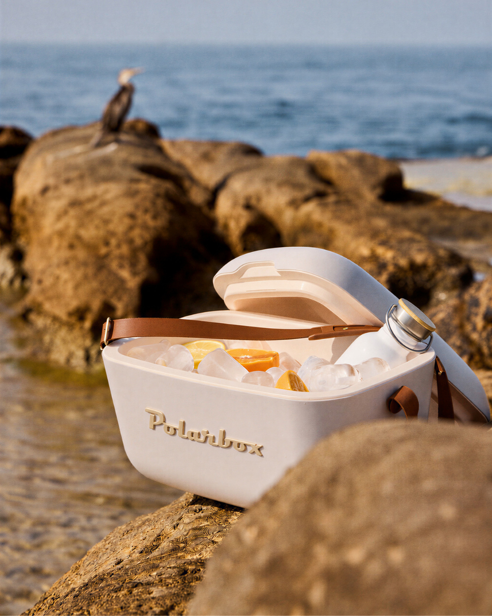 Pearl Gold Cooler | Polarbox